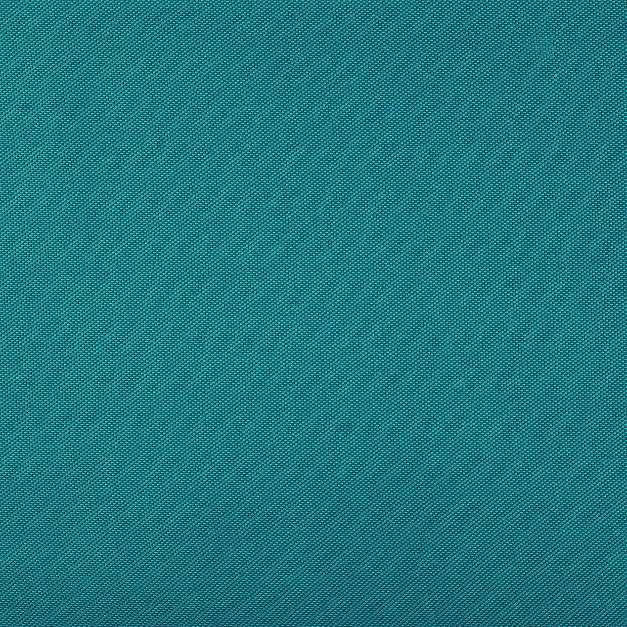 2-V24 petrol